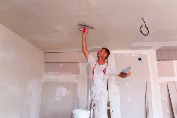 Best Water-Damaged Drywall Repair  in West Elmira, NY